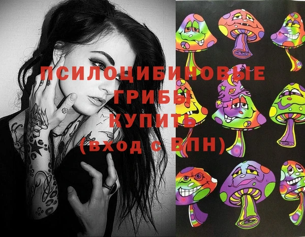 винт Горно-Алтайск