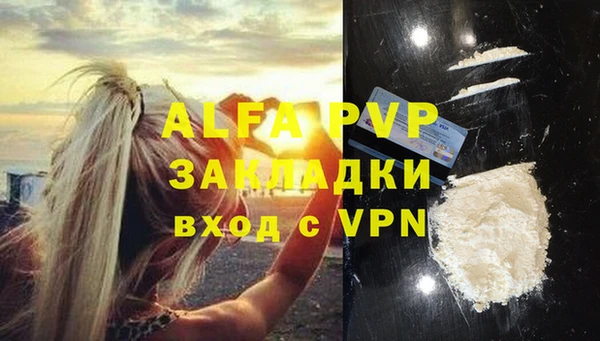 винт Горно-Алтайск