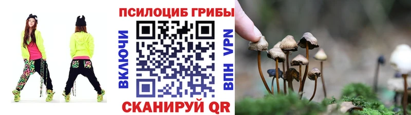 Псилоцибиновые грибы Psilocybine cubensis  Дагестанские Огни 